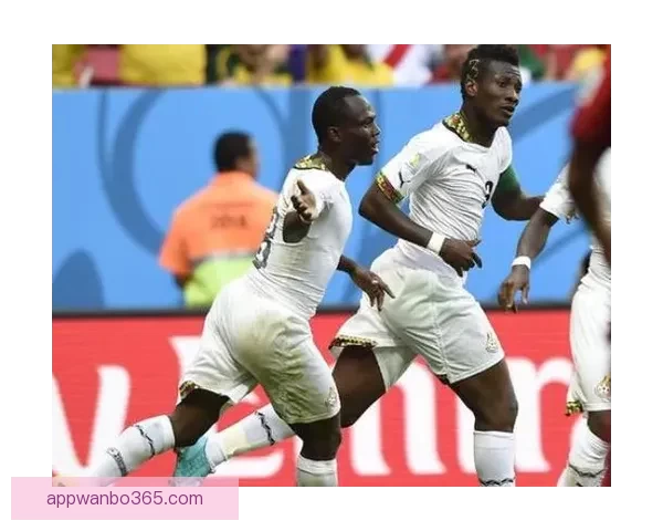 聚焦2026世界杯买球趋势与投注技巧全面解析指南与实战策略详