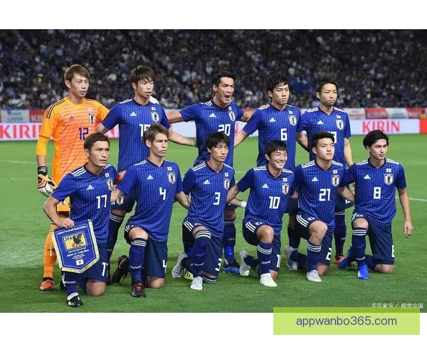 美加墨世界杯热门赛事投注指南与赔率解析全攻略